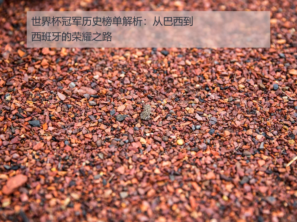 世界杯冠军历史榜单解析：从巴西到西班牙的荣耀之路