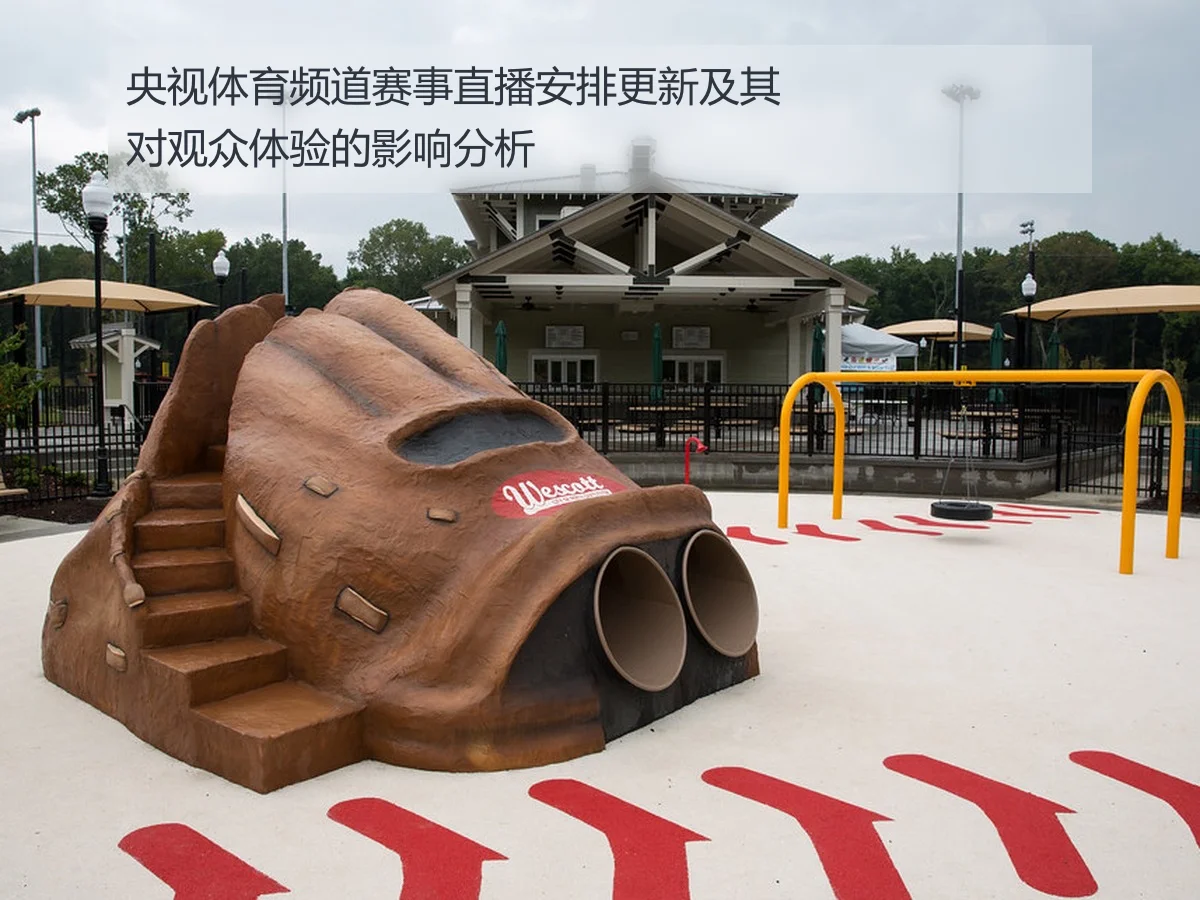 央视体育频道赛事直播安排更新及其对观众体验的影响分析